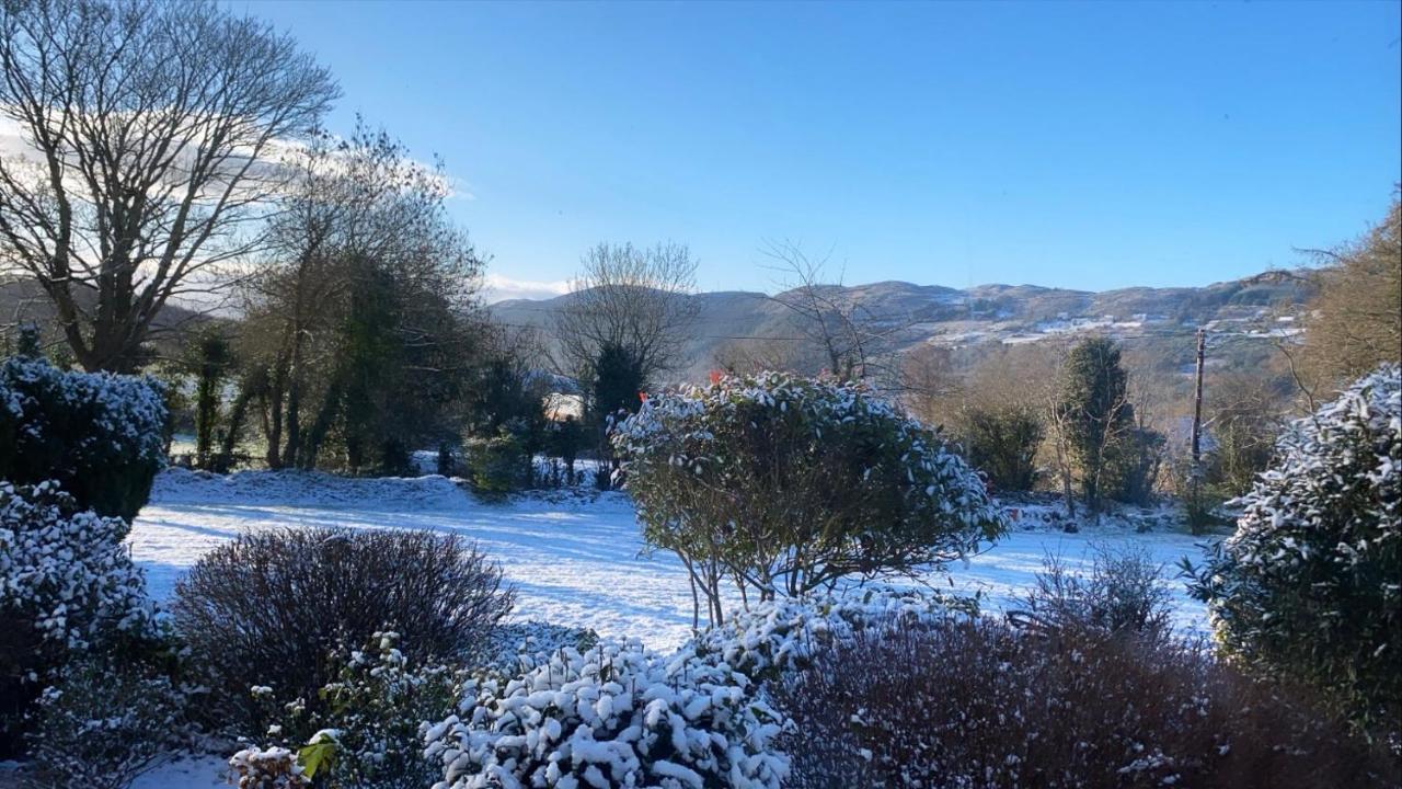 Tanglewood Newry