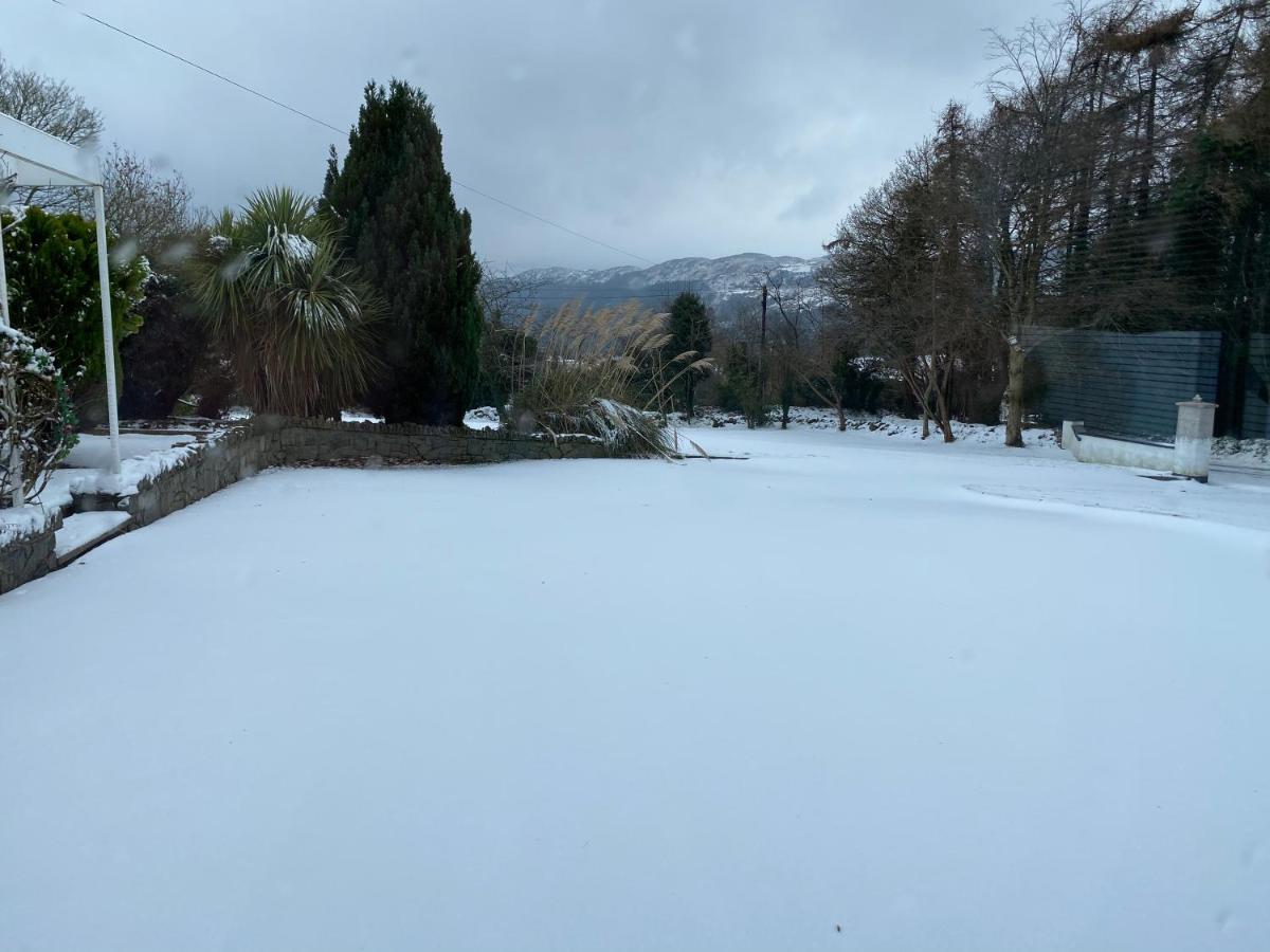 Tanglewood Apartment Newry