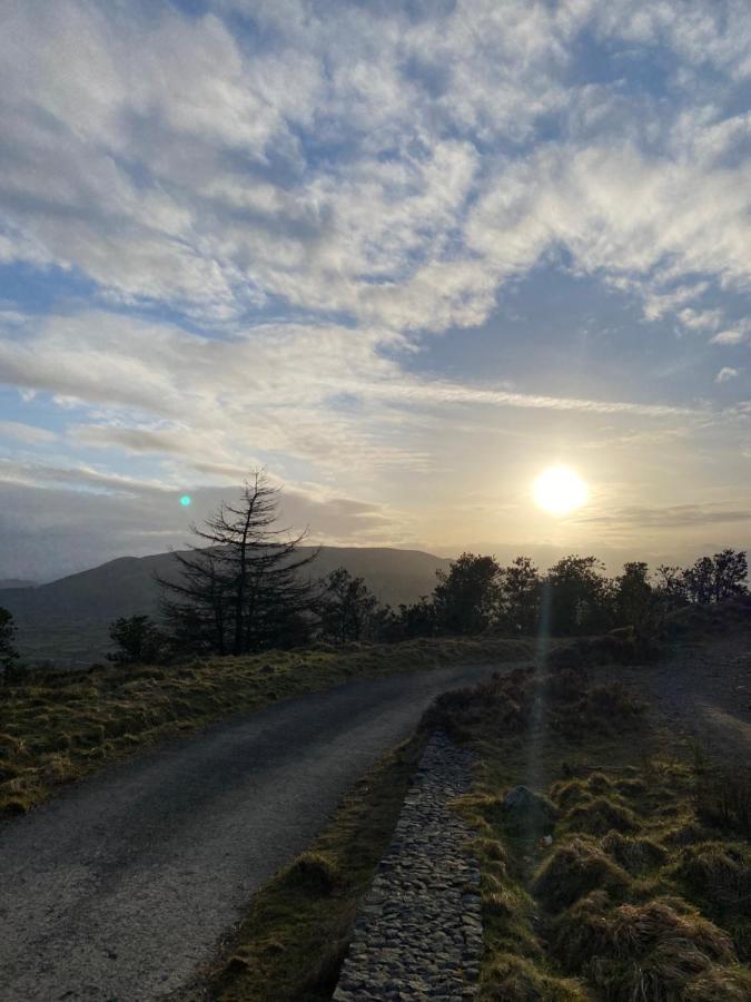 Tanglewood * Newry