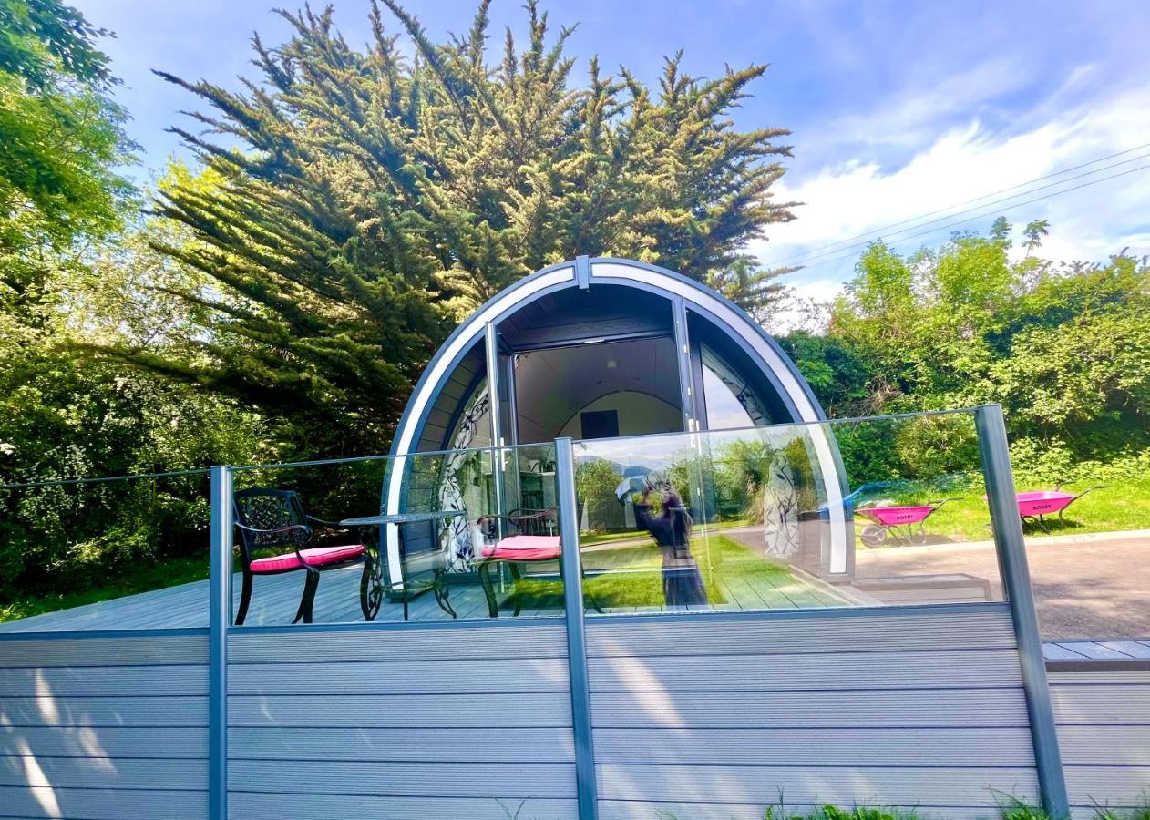 Tanglewood Newry